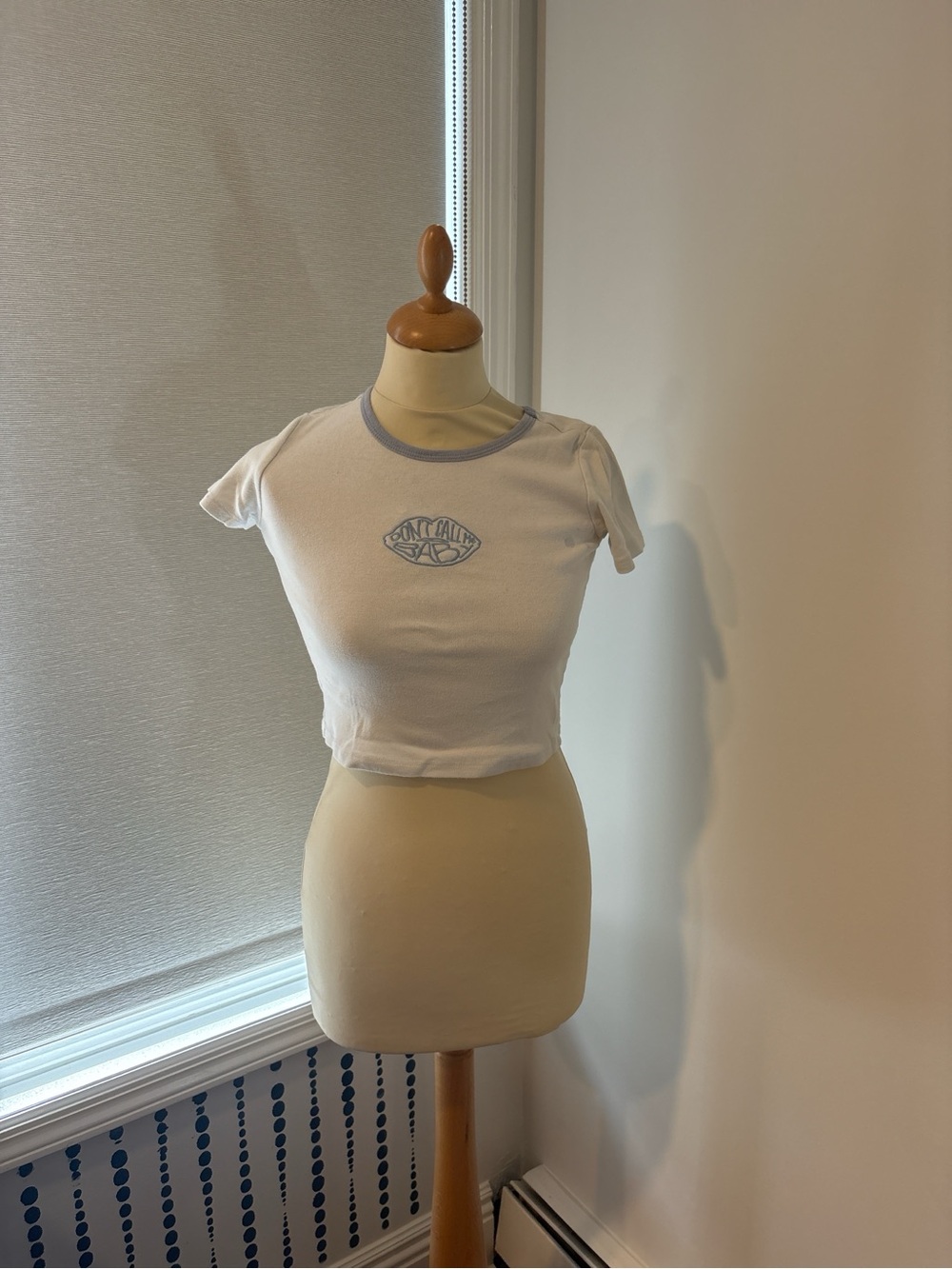 Brandy Melville White Crop Ringer Tee with Light Blue Trim